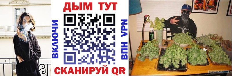 Цена Элиста Амфетамин  Cocaine  Меф мяу мяу  Каннабис  Alpha-PVP 